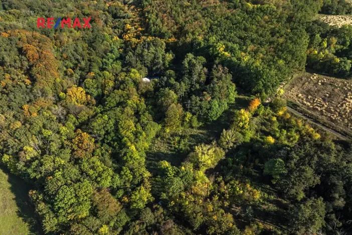 Prodej lesa, Praha - Malá Chuchle, 17570 m2