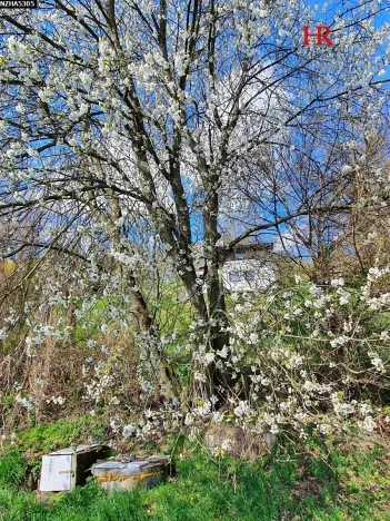 Prodej chaty, Kochánky, 65 m2