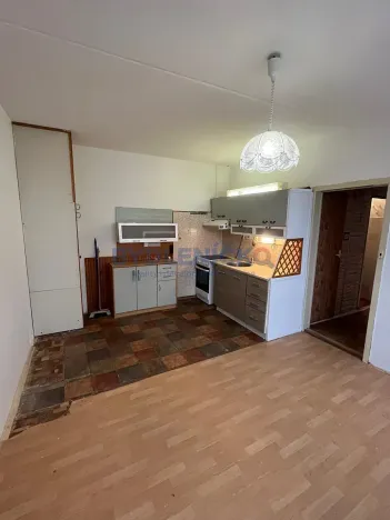 Prodej bytu 1+1, České Budějovice, K. Chocholy, 44 m2