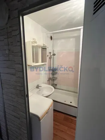 Prodej bytu 1+1, České Budějovice, K. Chocholy, 44 m2