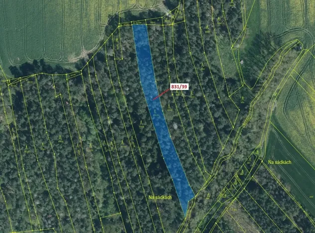 Dražba lesa, Koloveč, 3368 m2