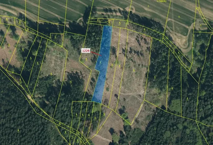 Dražba lesa, Vilice, 3593 m2