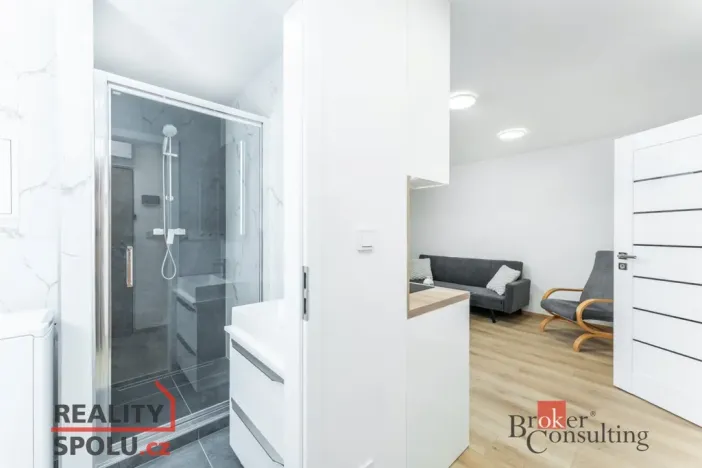 Pronájem bytu 3+kk, Praha - Libeň, Sokolovská, 44 m2