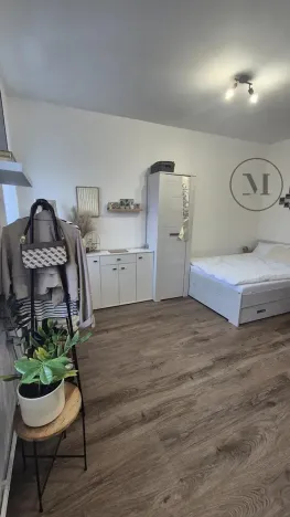 Pronájem bytu 1+kk, České Budějovice, Reinerova, 18 m2