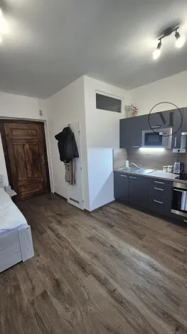 Pronájem bytu 1+kk, České Budějovice, Reinerova, 18 m2