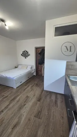 Pronájem bytu 1+kk, České Budějovice, Reinerova, 18 m2