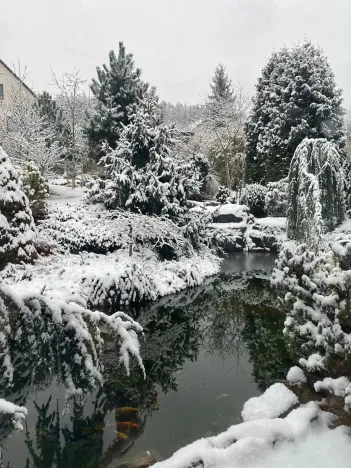 Prodej rodinného domu, Nový Jáchymov, 200 m2