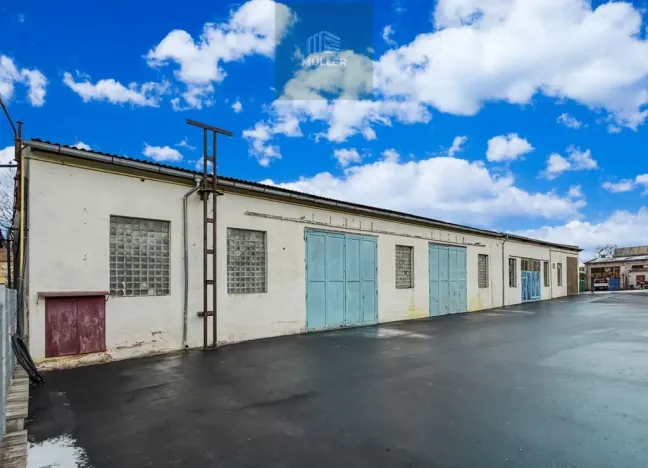 Pronájem komerční nemovitosti, Blovice, 790 m2