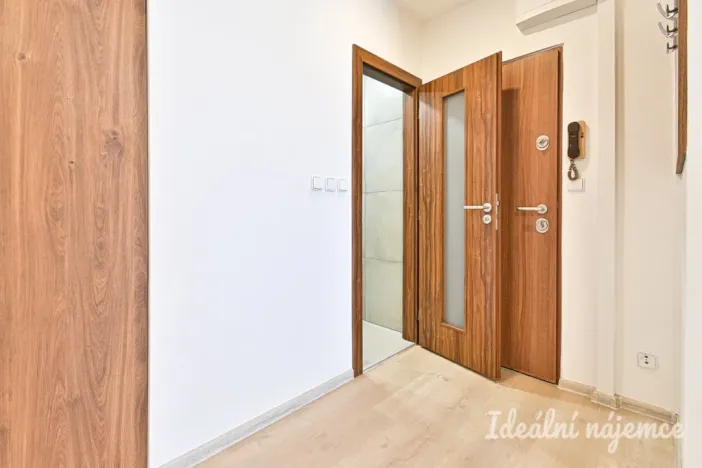 Pronájem bytu 1+1, Vyškov - Vyškov-Předměstí, Trpínky, 41 m2