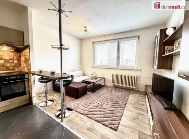 Prodej bytu 2+kk, Ústí nad Labem - Severní Terasa, Ježkova, 40 m2