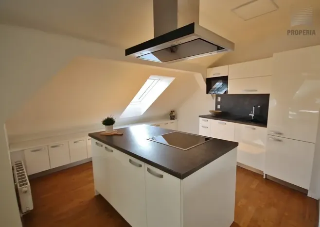 Prodej bytu 4+kk, Brno, Ríšova, 118 m2