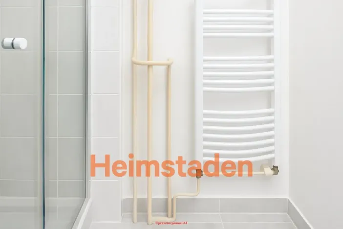 Pronájem bytu 1+kk, Havířov - Město, Hlavní třída, 20 m2