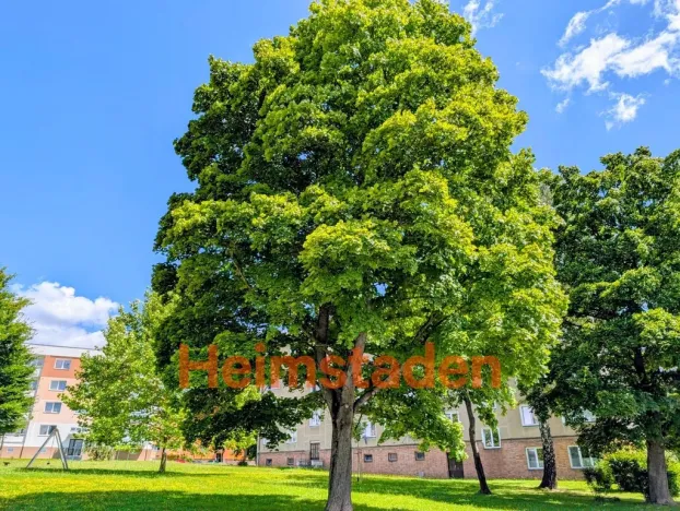 Pronájem bytu 1+1, Havířov - Město, Resslova, 36 m2