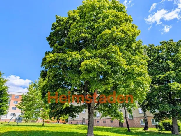 Pronájem bytu 2+1, Havířov - Město, Na Nábřeží, 55 m2