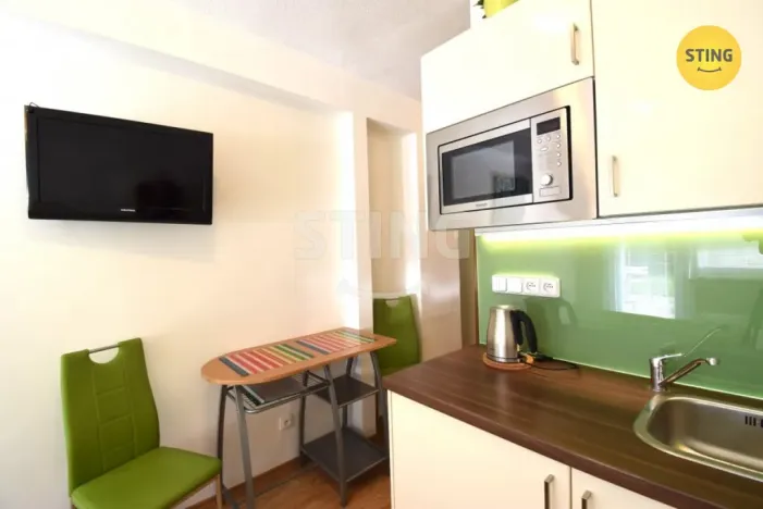 Pronájem bytu 1+kk, Všemina, 24 m2