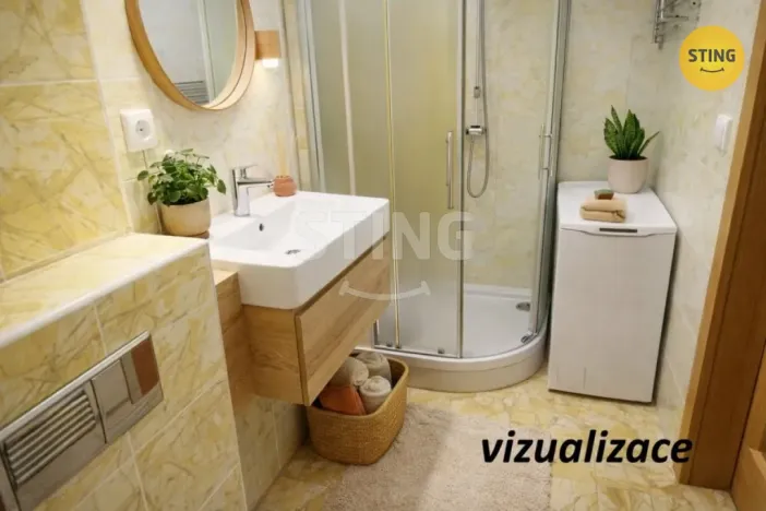 Pronájem bytu 1+kk, Všemina, 24 m2