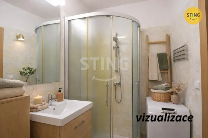 Pronájem bytu 1+kk, Všemina, 24 m2