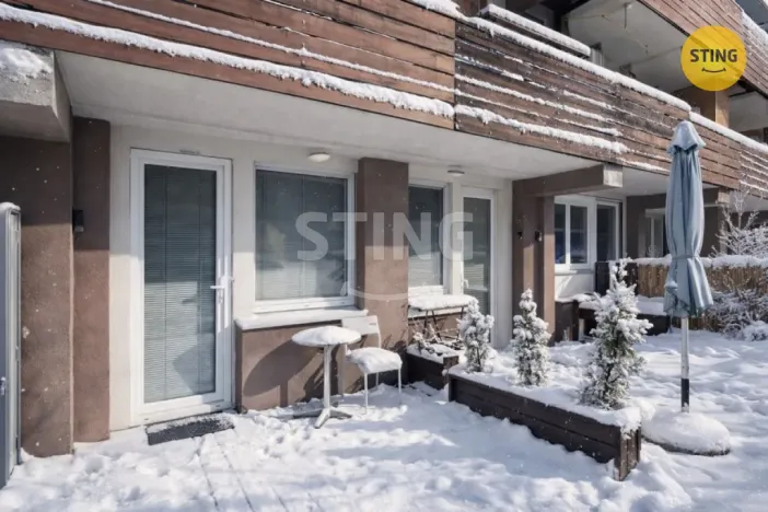 Pronájem bytu 1+kk, Všemina, 24 m2