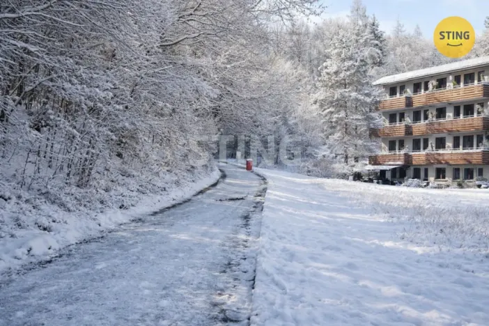 Pronájem bytu 1+kk, Všemina, 24 m2