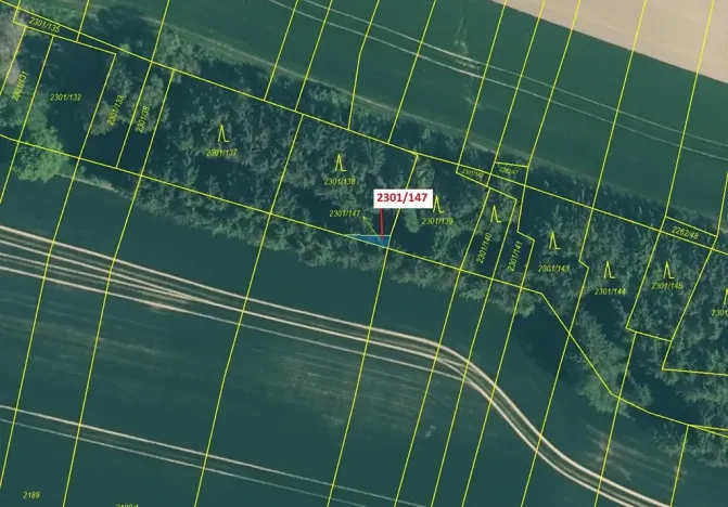 Dražba lesa, Hosty, 19 m2