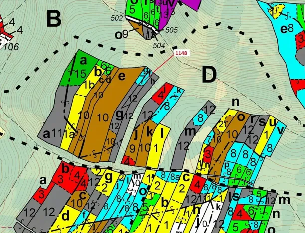 Dražba lesa, Vilice, 1105 m2