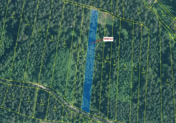 Dražba lesa, Hosty, 1517 m2