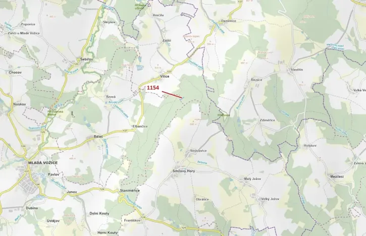 Dražba lesa, Vilice, 2384 m2