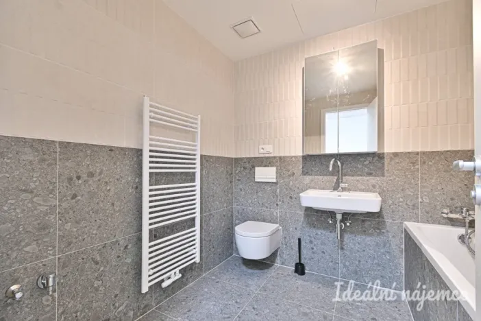 Pronájem bytu 1+kk, Brno, Bratislavská, 40 m2