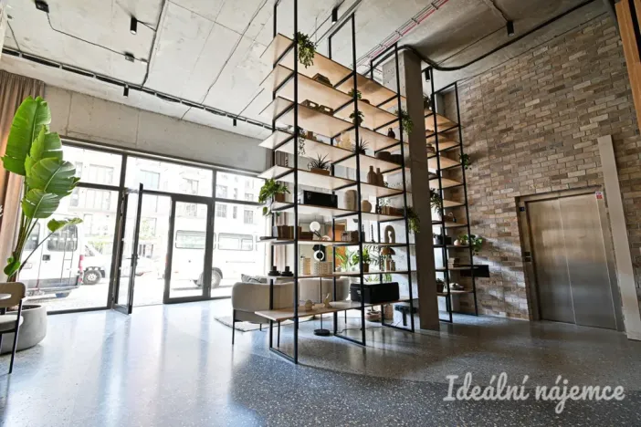 Pronájem bytu 1+kk, Brno, Bratislavská, 40 m2