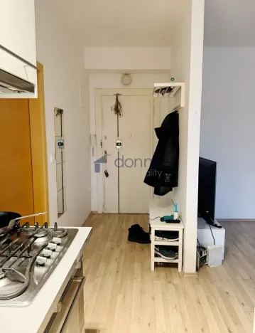 Pronájem bytu 2+kk, Praha, Sekaninova, 50 m2