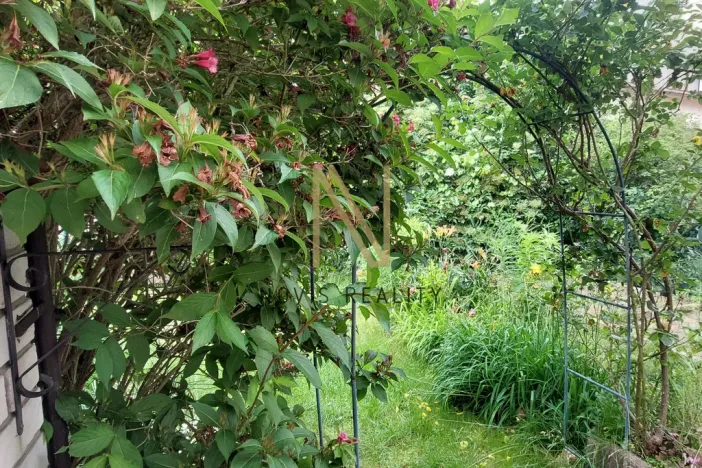 Pronájem bytu 1+1, Domažlice, náměstí Míru, 31 m2