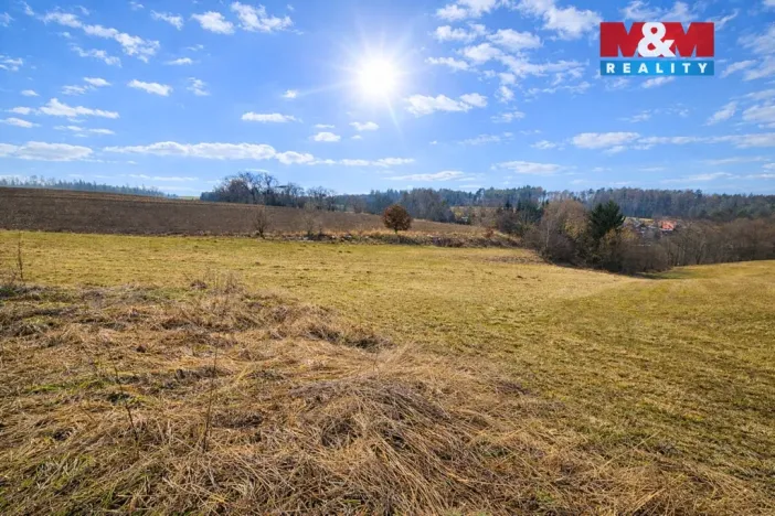 Prodej louky, Podmoky, 2480 m2