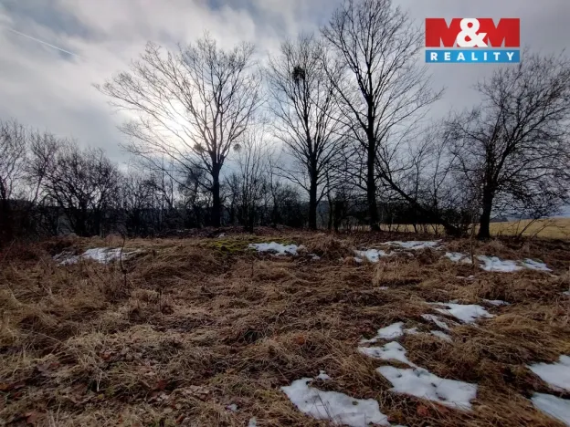 Prodej louky, Budišov nad Budišovkou, 6470 m2