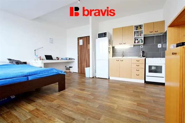 Pronájem bytu 1+kk, Brno, Oblá, 33 m2