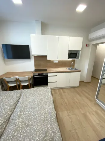 Pronájem bytu 1+kk, Zlín, Štefánikova, 30 m2