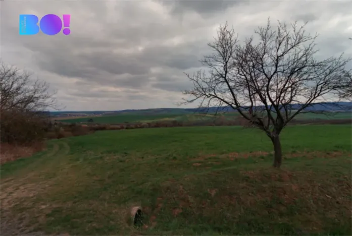 Prodej pole, Troubky-Zdislavice - Troubky, 5195 m2