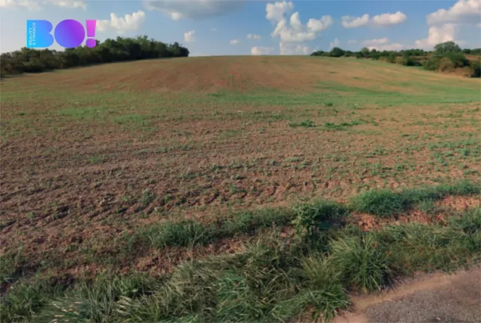 Prodej pole, Ořechov, 10874 m2