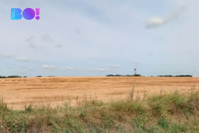 Prodej pole, Hevlín, 5248 m2