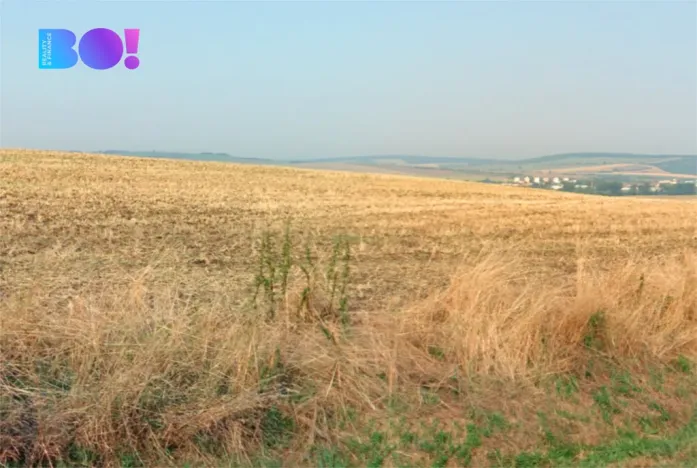 Prodej pole, Uherský Brod, 23786 m2