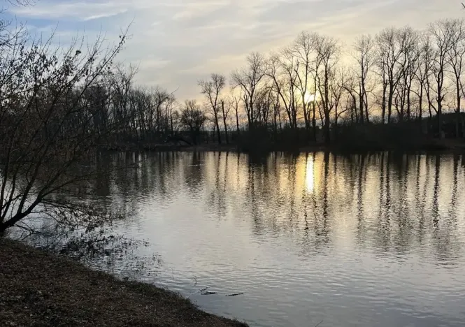 Prodej pozemku, Chodouny, 2177 m2