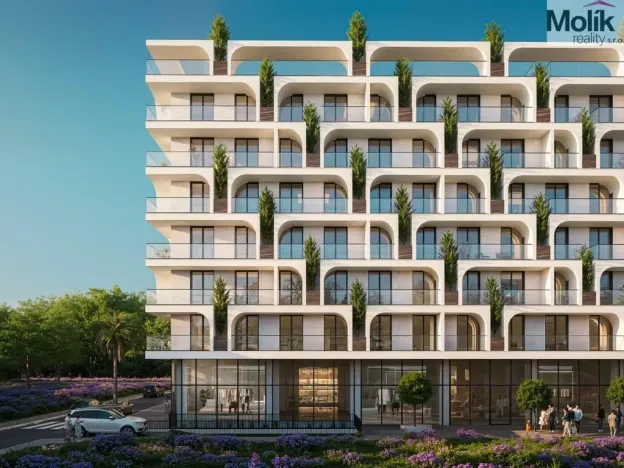 Prodej bytu 2+kk, Golem, 54 m2