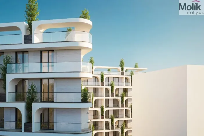 Prodej bytu 2+kk, Golem, 54 m2