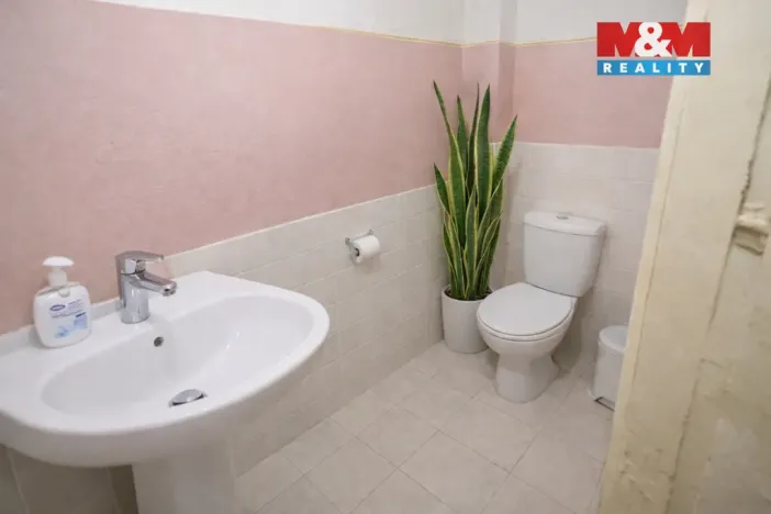 Prodej rodinného domu, Nová Ves u Chotěboře, 110 m2