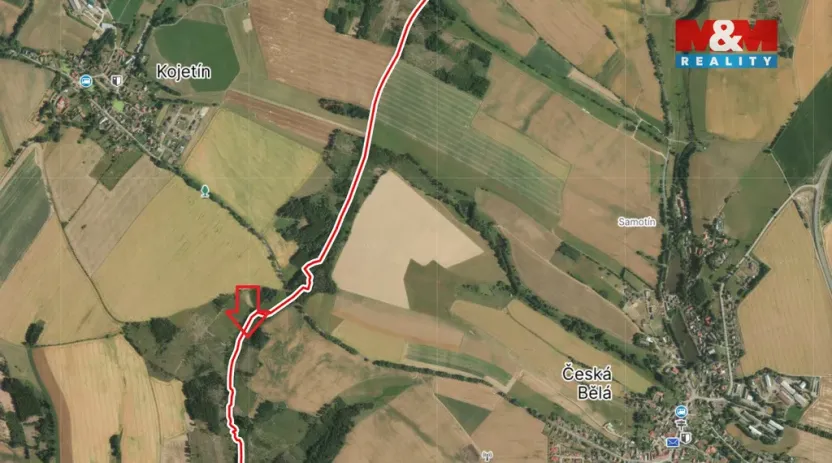 Prodej lesa, Česká Bělá, 1126 m2