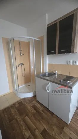 Pronájem bytu 1+kk, Opava - Předměstí, Haškova, 14 m2