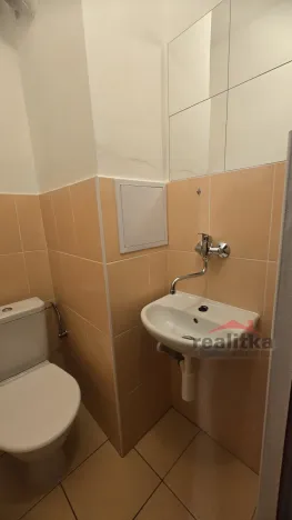 Pronájem bytu 1+kk, Opava - Předměstí, Haškova, 14 m2