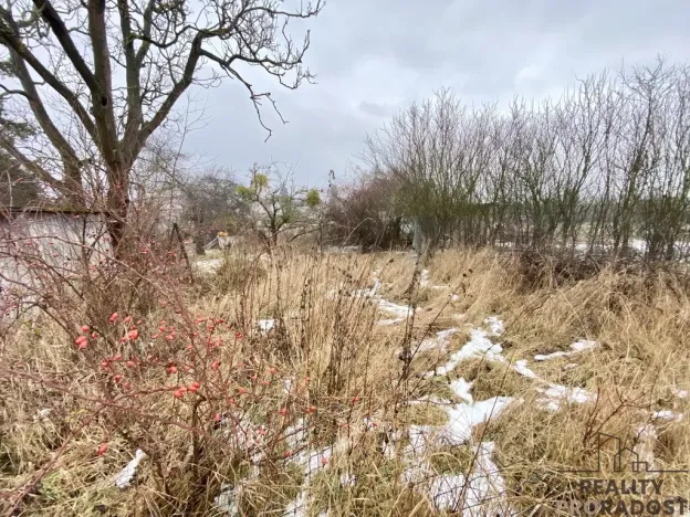 Prodej zahrady, Cholina, 850 m2