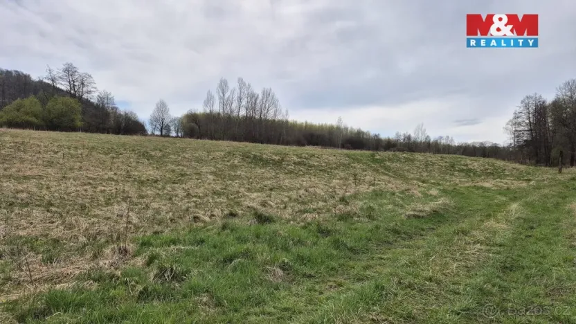 Prodej louky, Česká Kamenice - Dolní Kamenice, 22628 m2