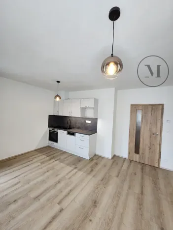 Pronájem bytu 1+kk, České Budějovice, Dobrovodská, 41 m2