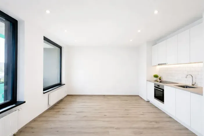 Pronájem bytu 1+kk, Praha - Žižkov, Olgy Havlové, 40 m2